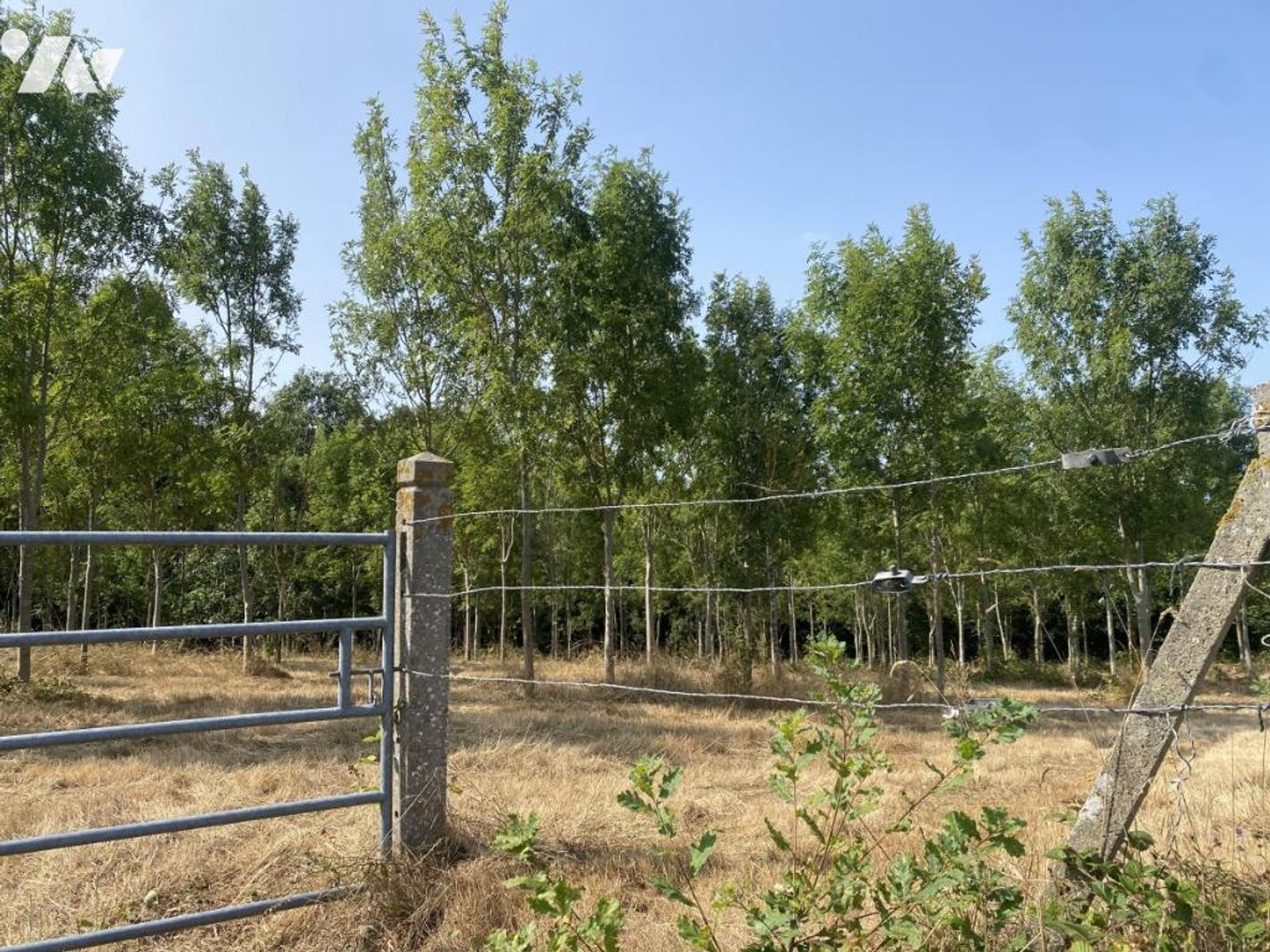 Terrain à vendre - 5693m2 - Noues De Sienne (14380)