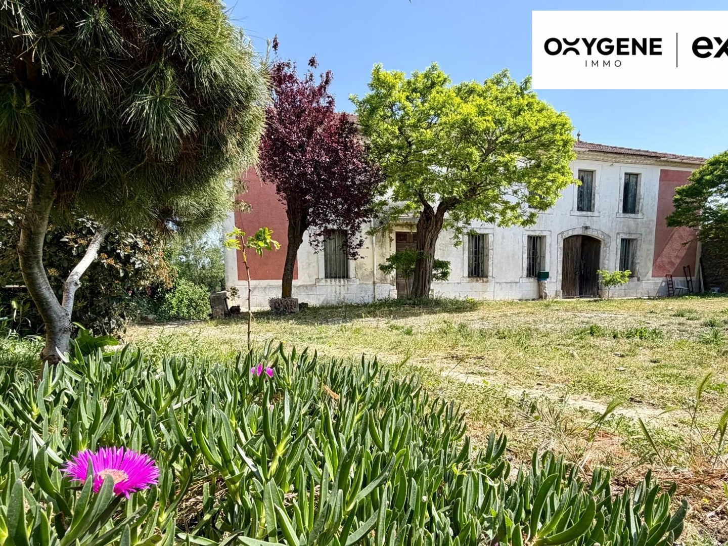 Maison à vendre - 8 pièces - 228m2 - Villalier (11600)