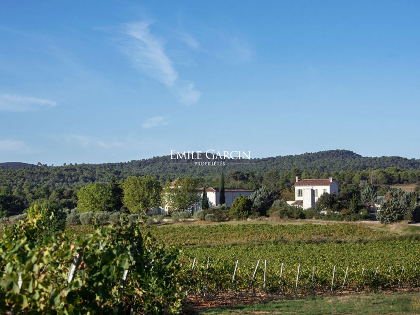 A vendre - Un domaine d'exception - Aux portes du Luberon