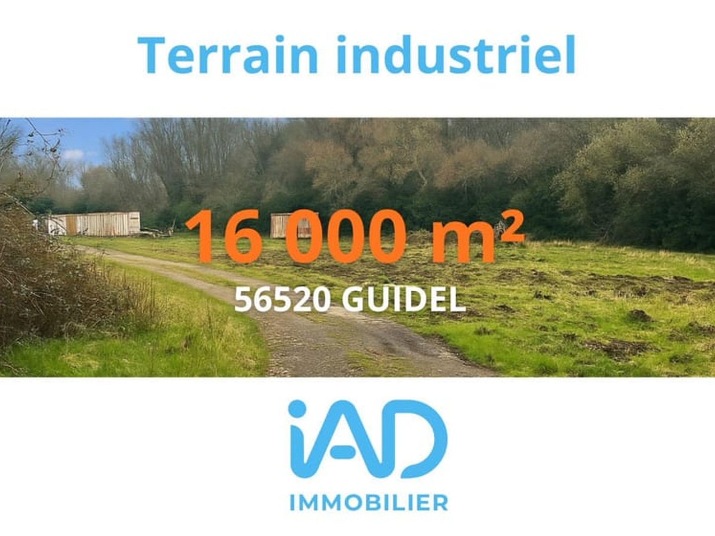 Immeuble commercial
