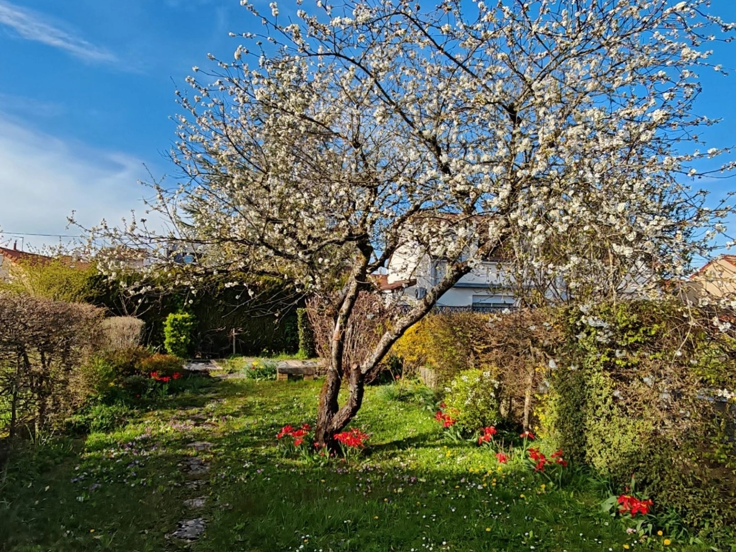 Maison 5 pièces 100 m²