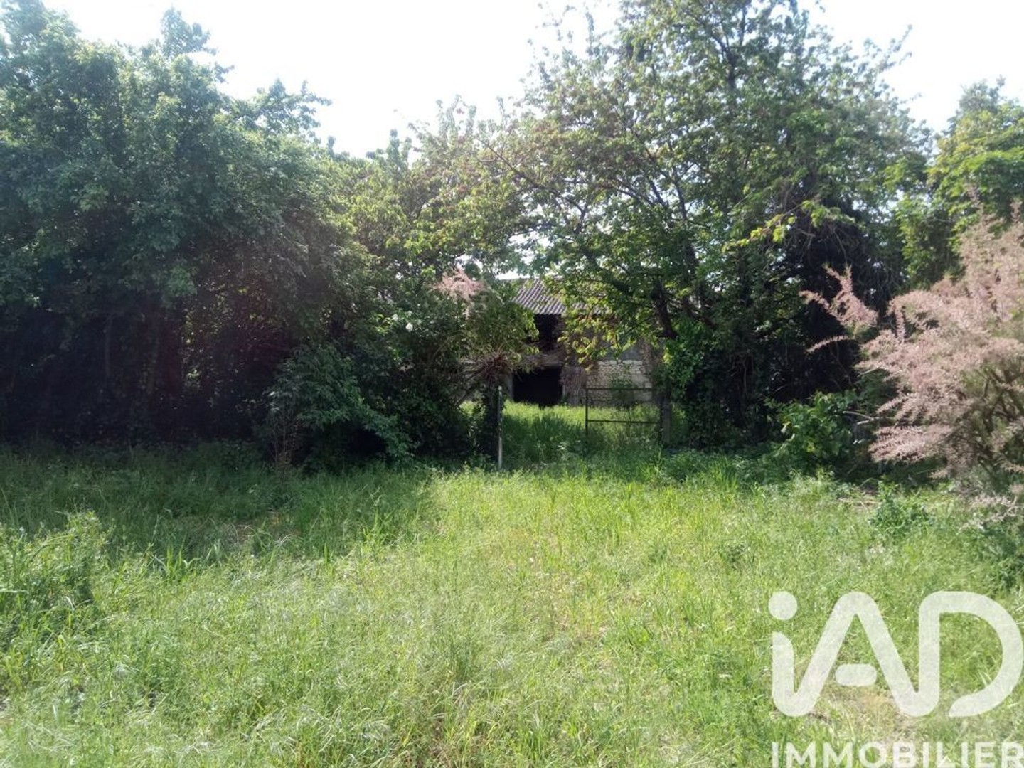 Maison à vendre - 6 pièces - 140m2 - Vaudelnay (49260)