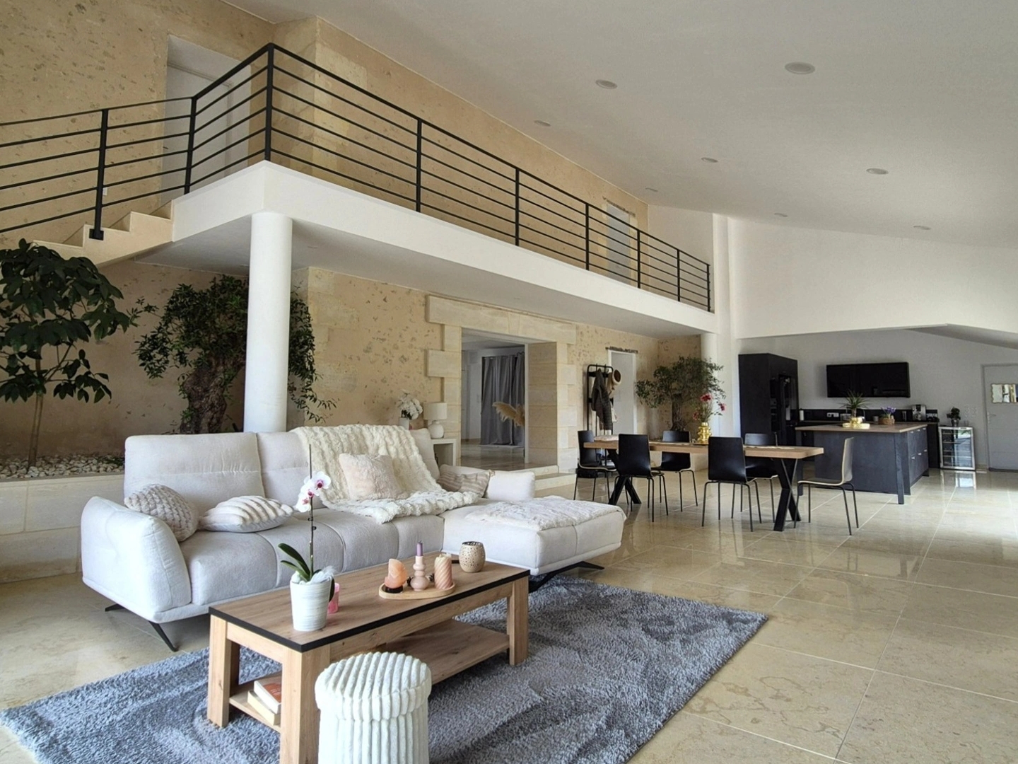 Maison à vendre - 8 pièces - 250m2 - Berson (33390)