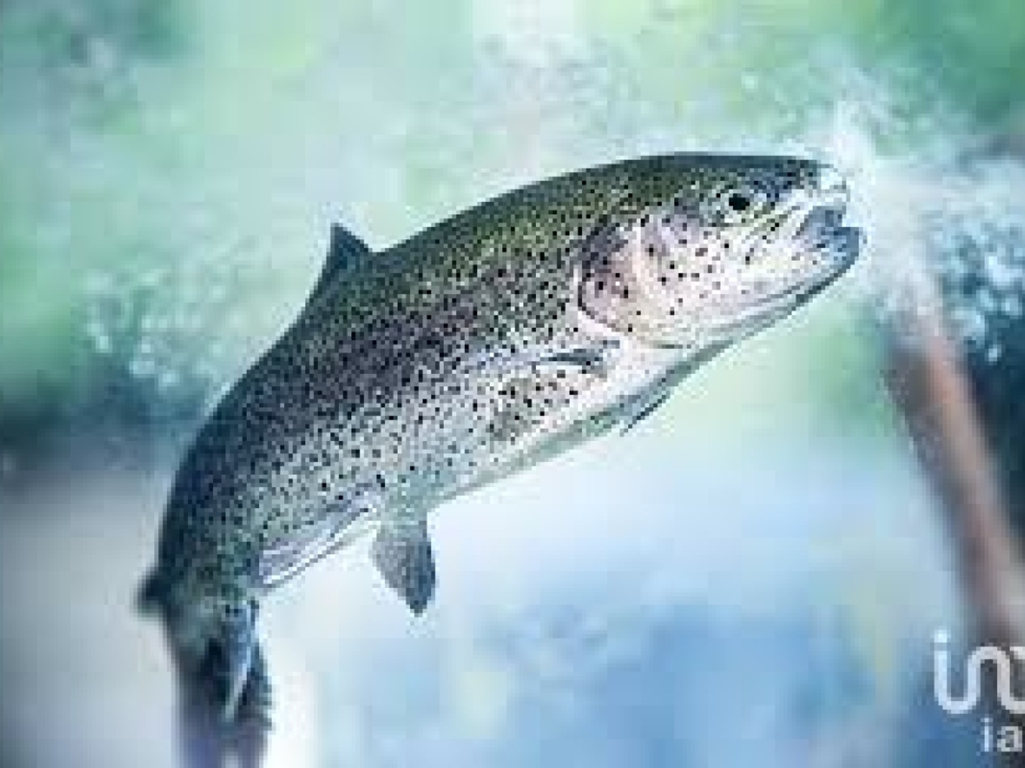 Vente Surface diverse 30 000 m²