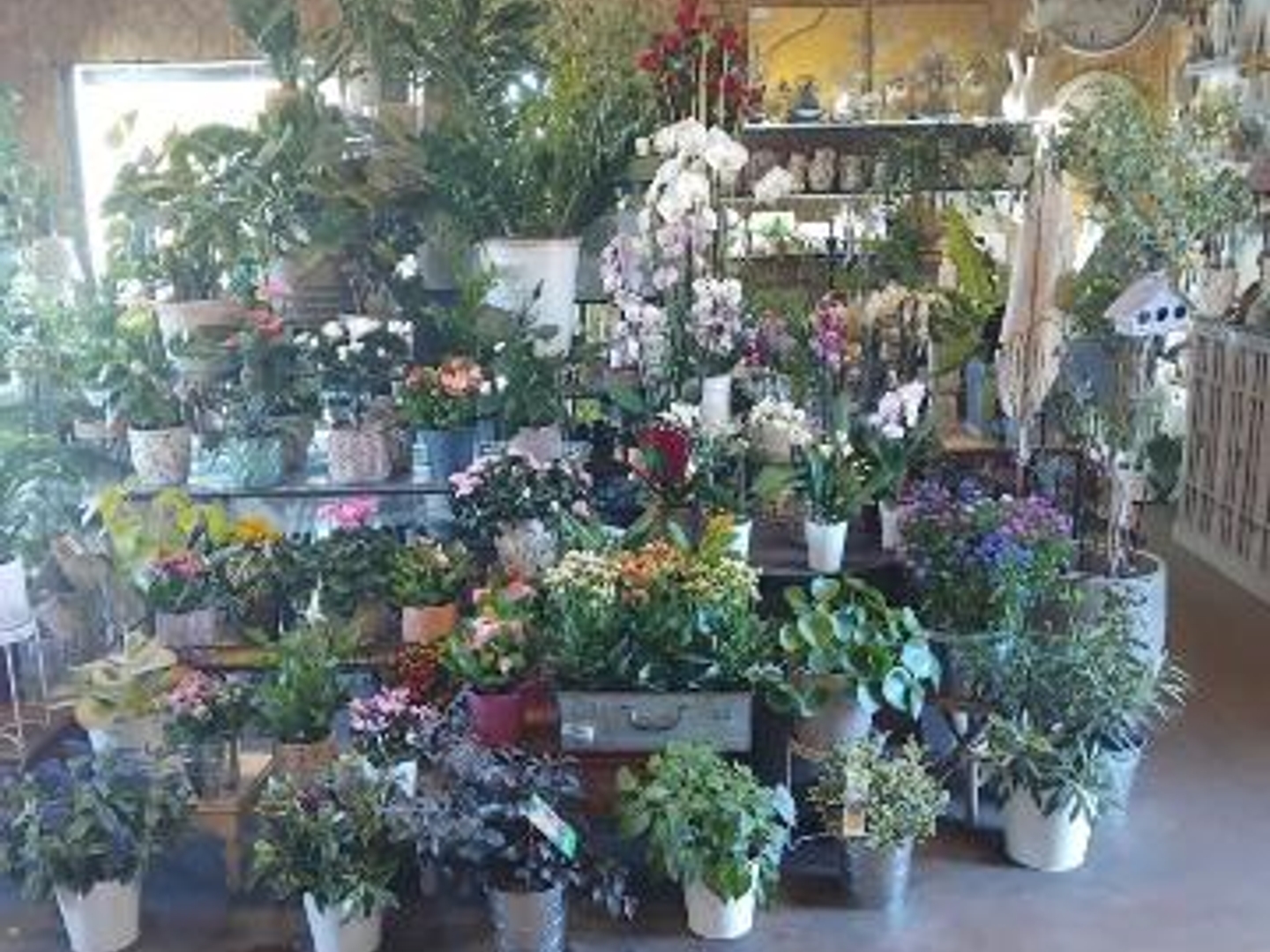 Magasin à vendre - 100m2 - Candé (49440)
