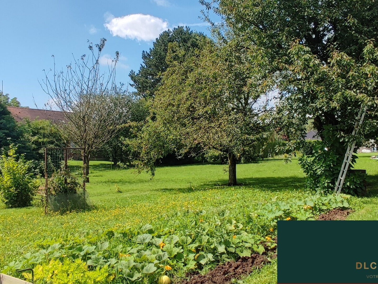 Terrain à vendre - 1200m2 - Vieux-Reng (59600)