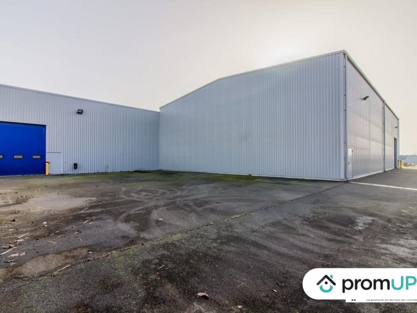 Local commercial 595 m²