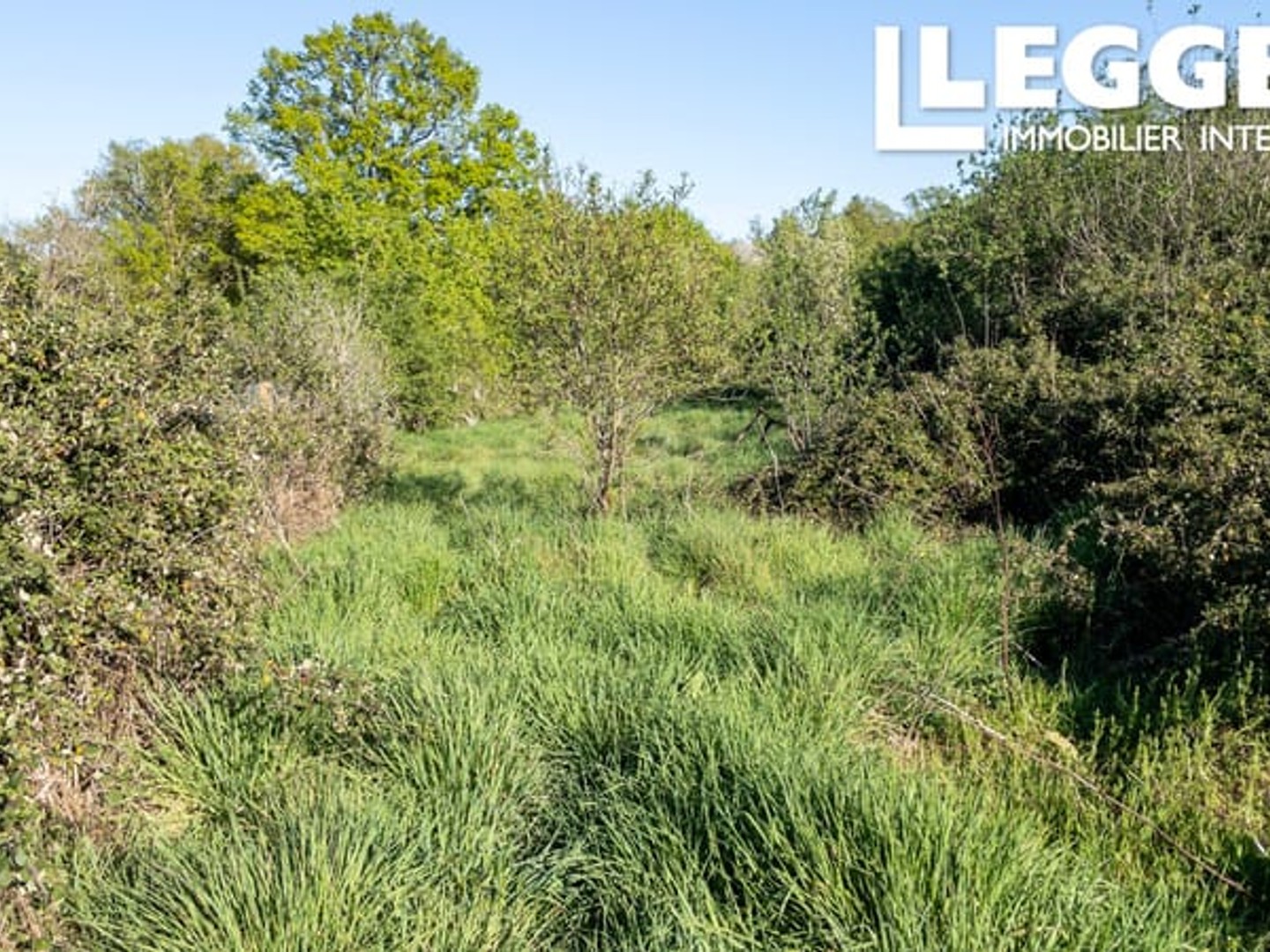 Locaux à vendre - 60m2 - Chassenon (16150)
