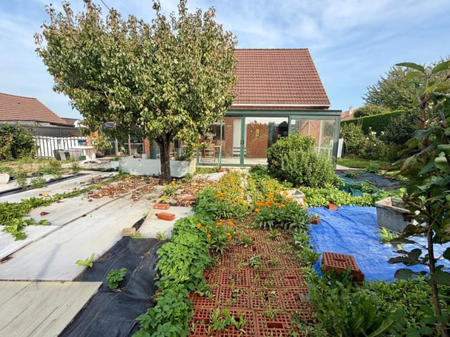 Maison à vendre - 4 pièces - 116m2 - Hazebrouck (59190)