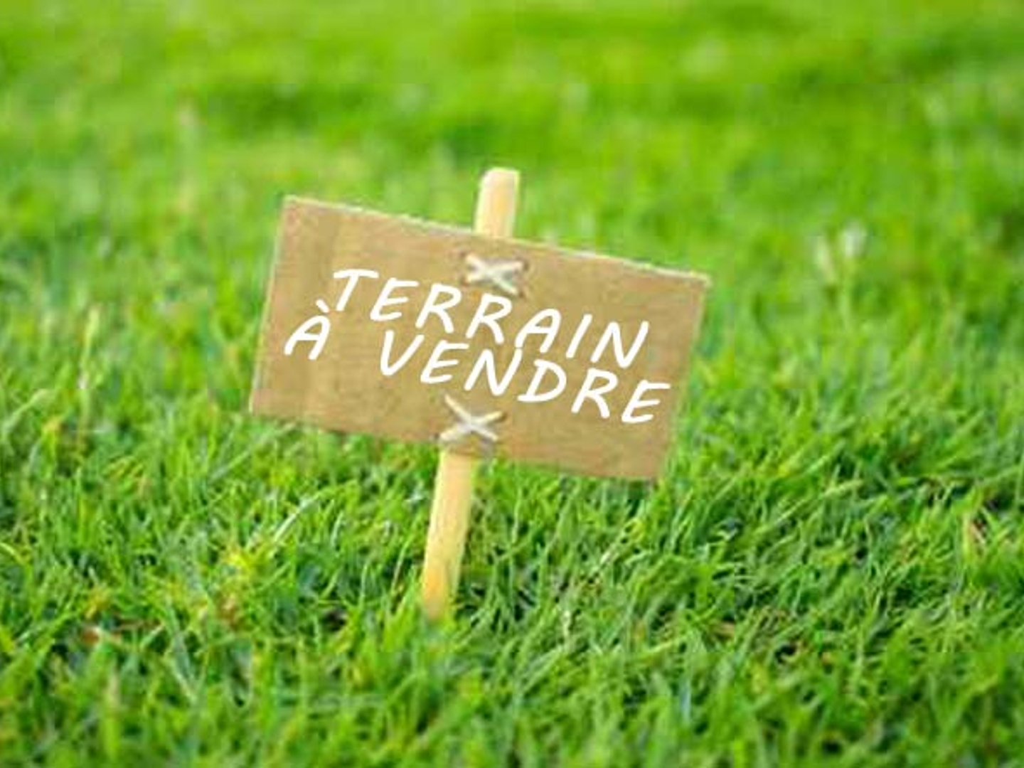 Terrain à SAINT-ÉTIENNE-LE-MOLARD - UN BEL ESPACE POUR IMAGINER VOTRE FUTUR CHEZ-VOUS !
