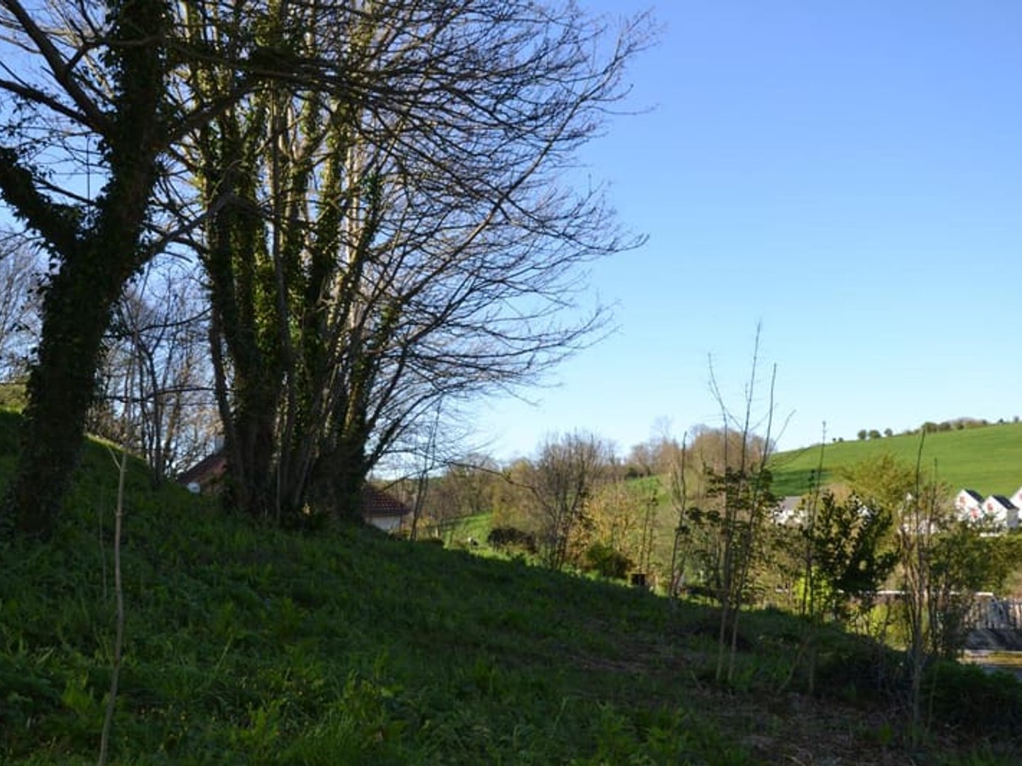 Terrain à vendre - 860m2 - Veulettes-Sur-Mer (76450)