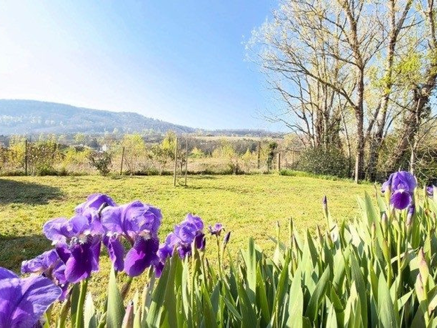 Maison à vendre - 4 pièces - 93m2 - Sorèze (81540)