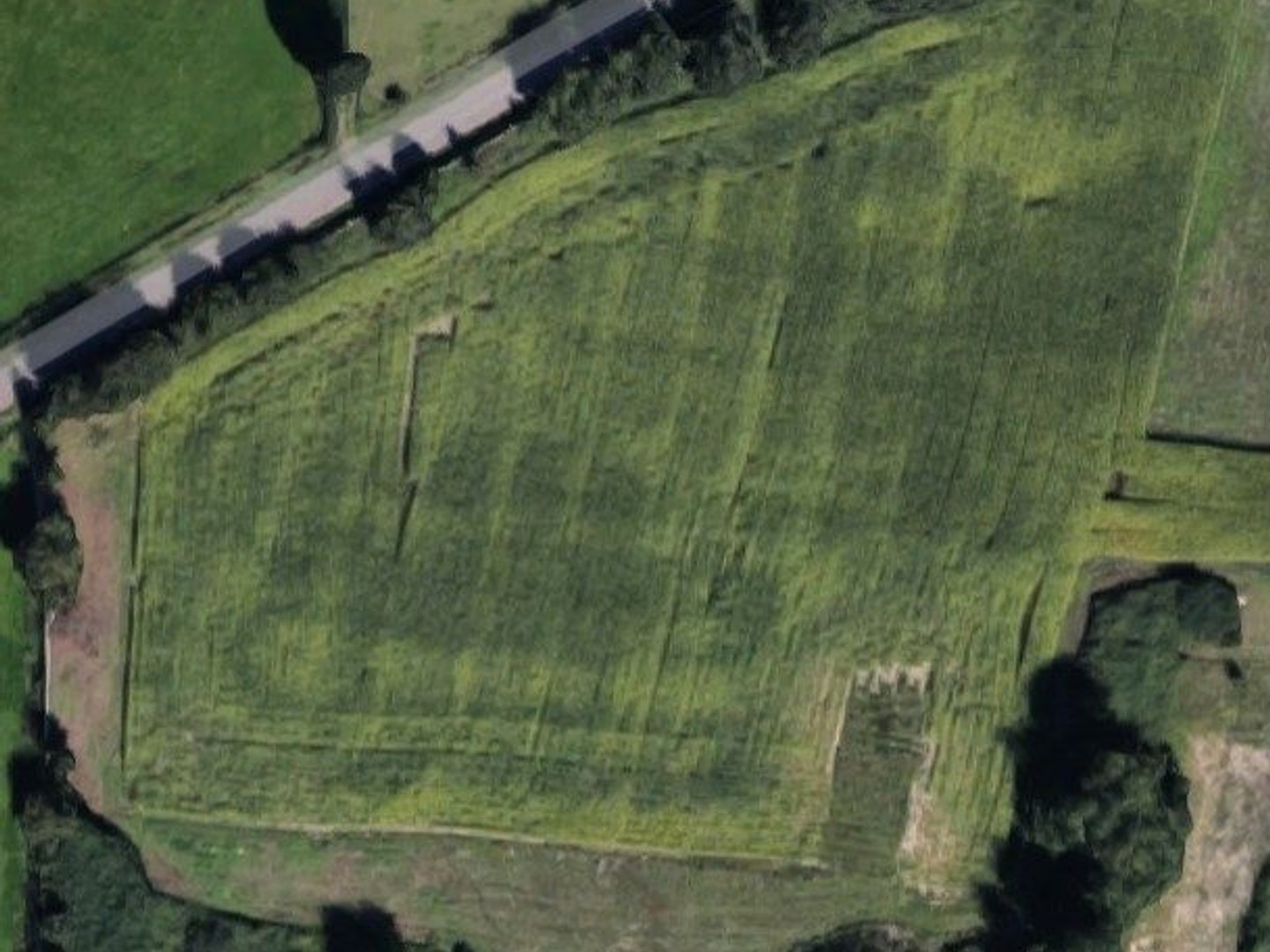 Terrain 20363 m²