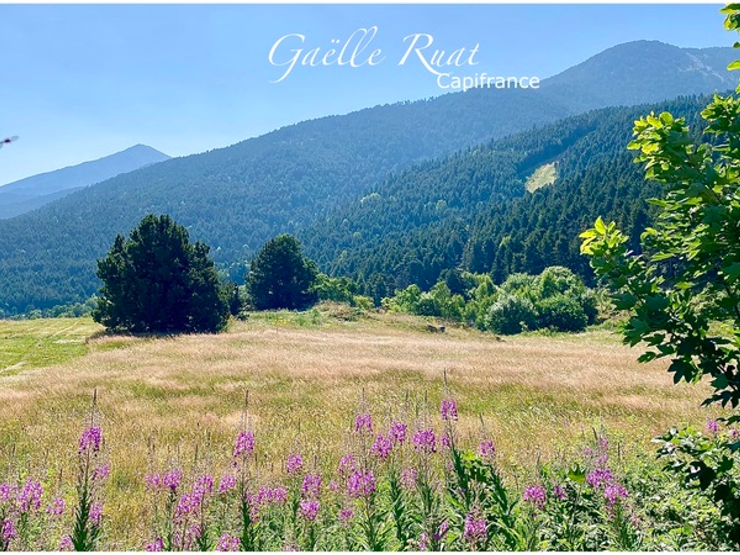 Terrain à vendre - 433m2 - Saint-Pierre-Dels... (66210)
