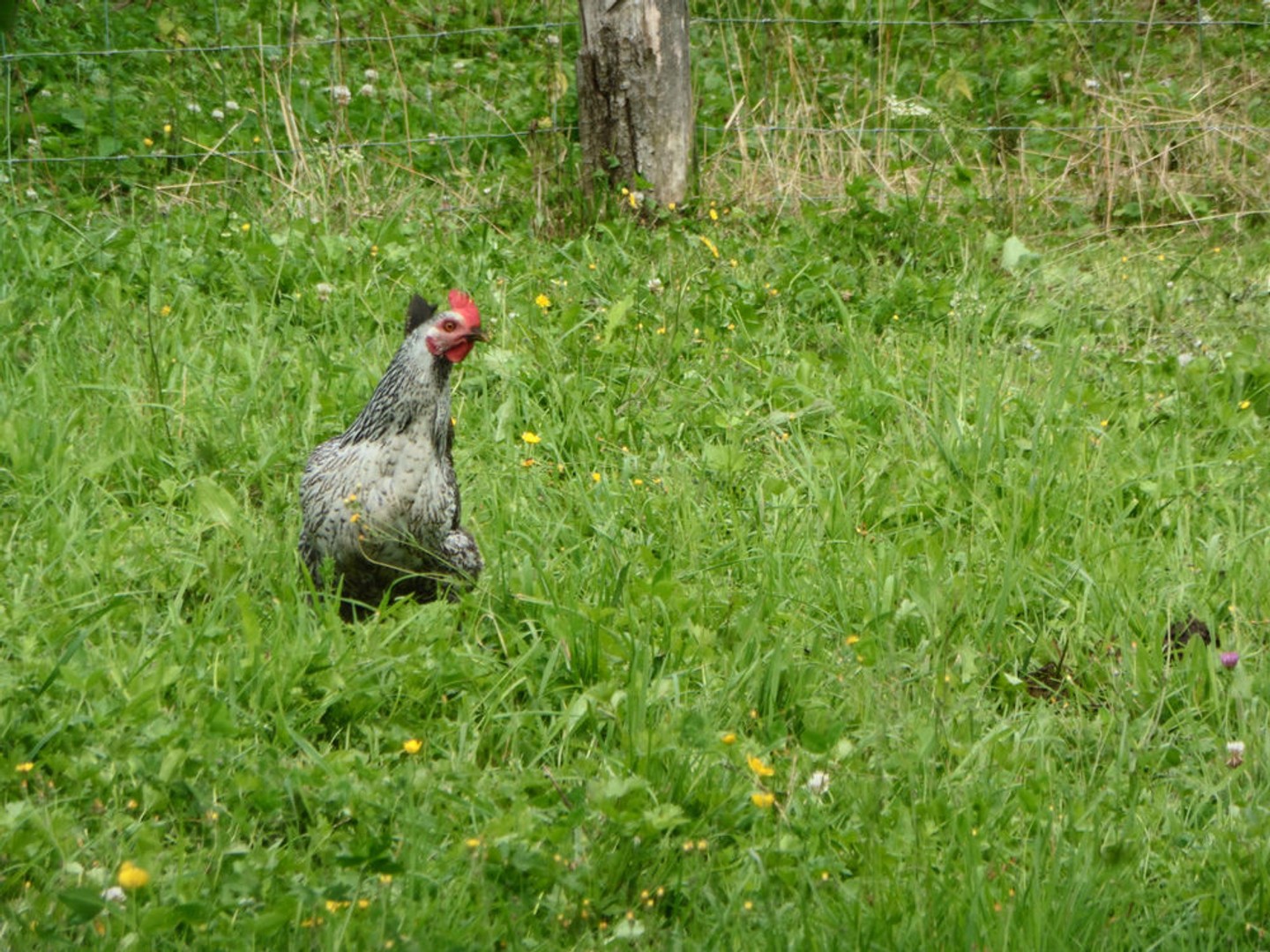 PARCELLE DE TERRAIN A BATIR