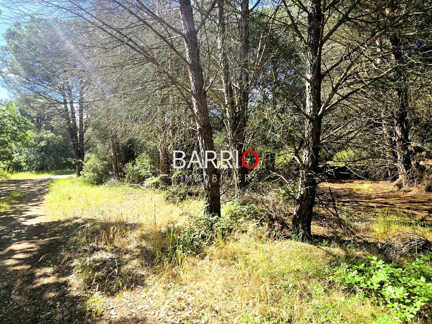 Terrain à vendre - Argelès-Sur-Mer (66700)