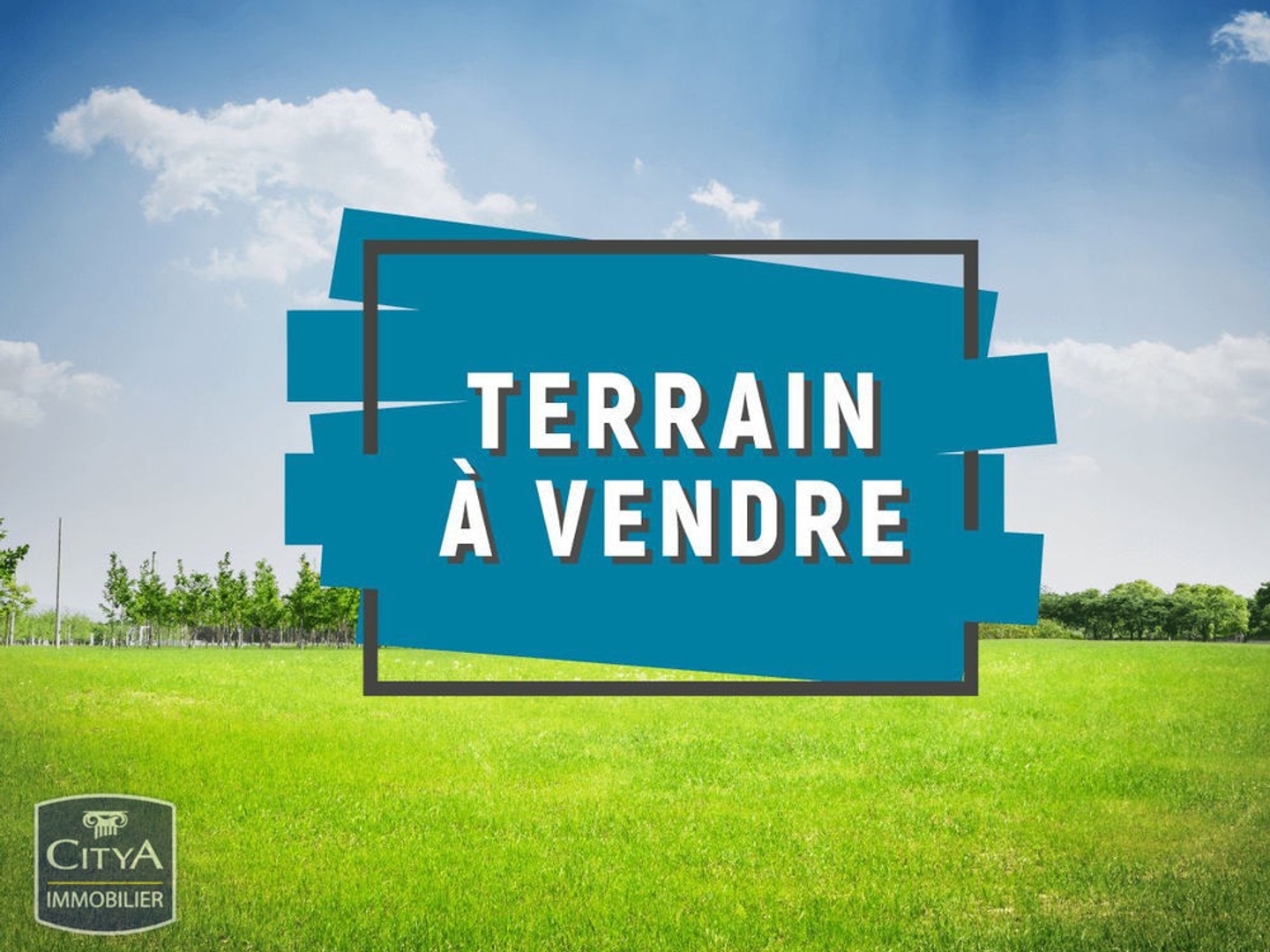terrain
