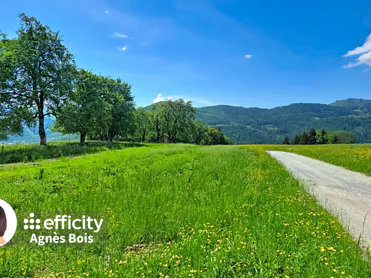 Terrain 7274 m²