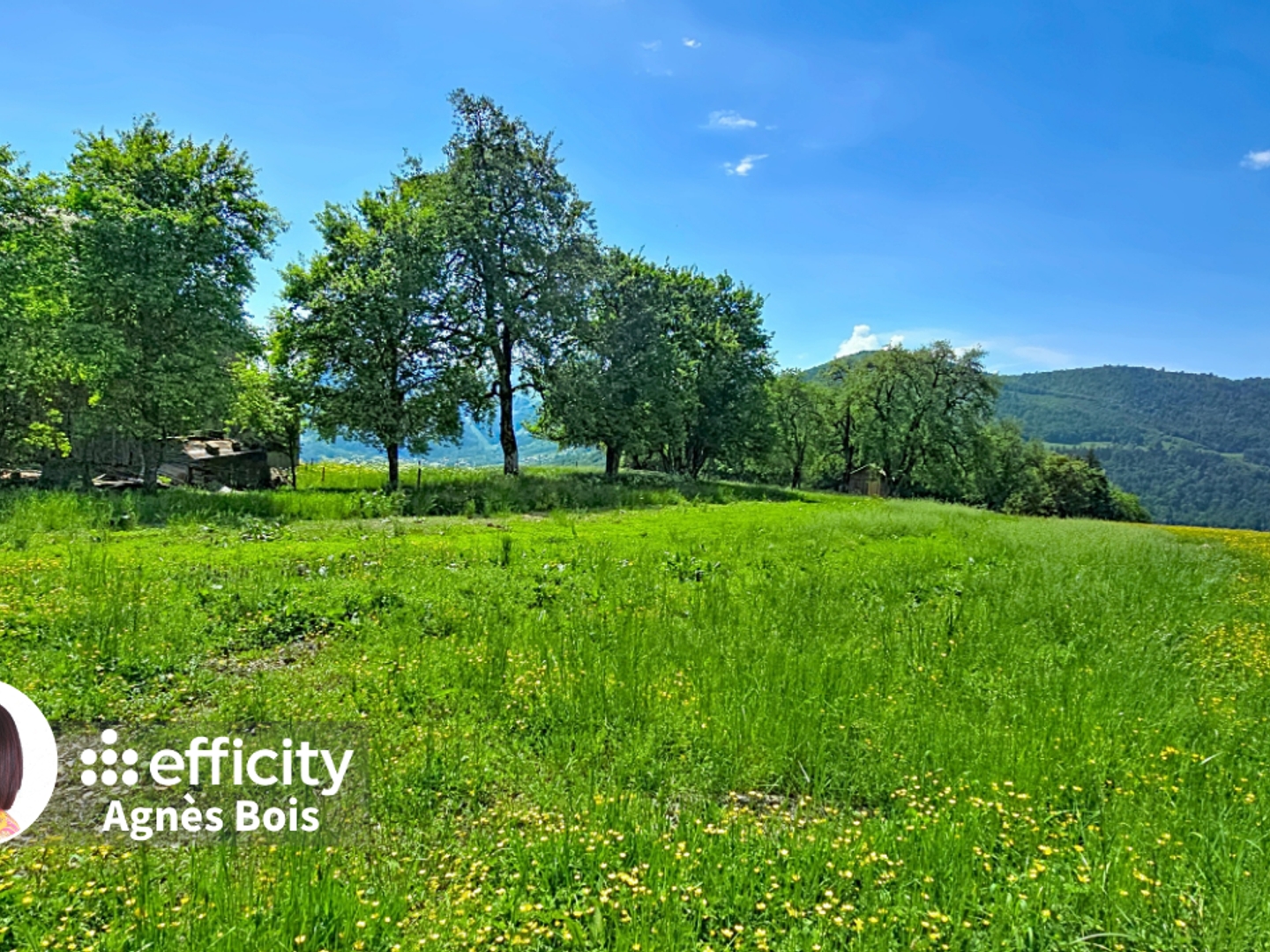 Terrain à vendre - 7274m2 - Onnion (74490)