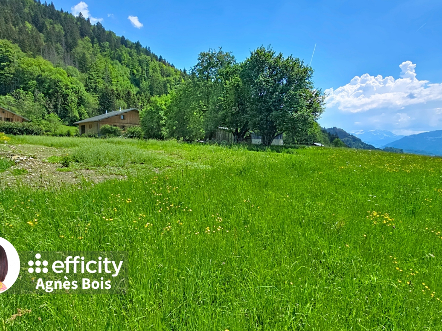 Terrain à vendre - 7274m2 - Onnion (74490)