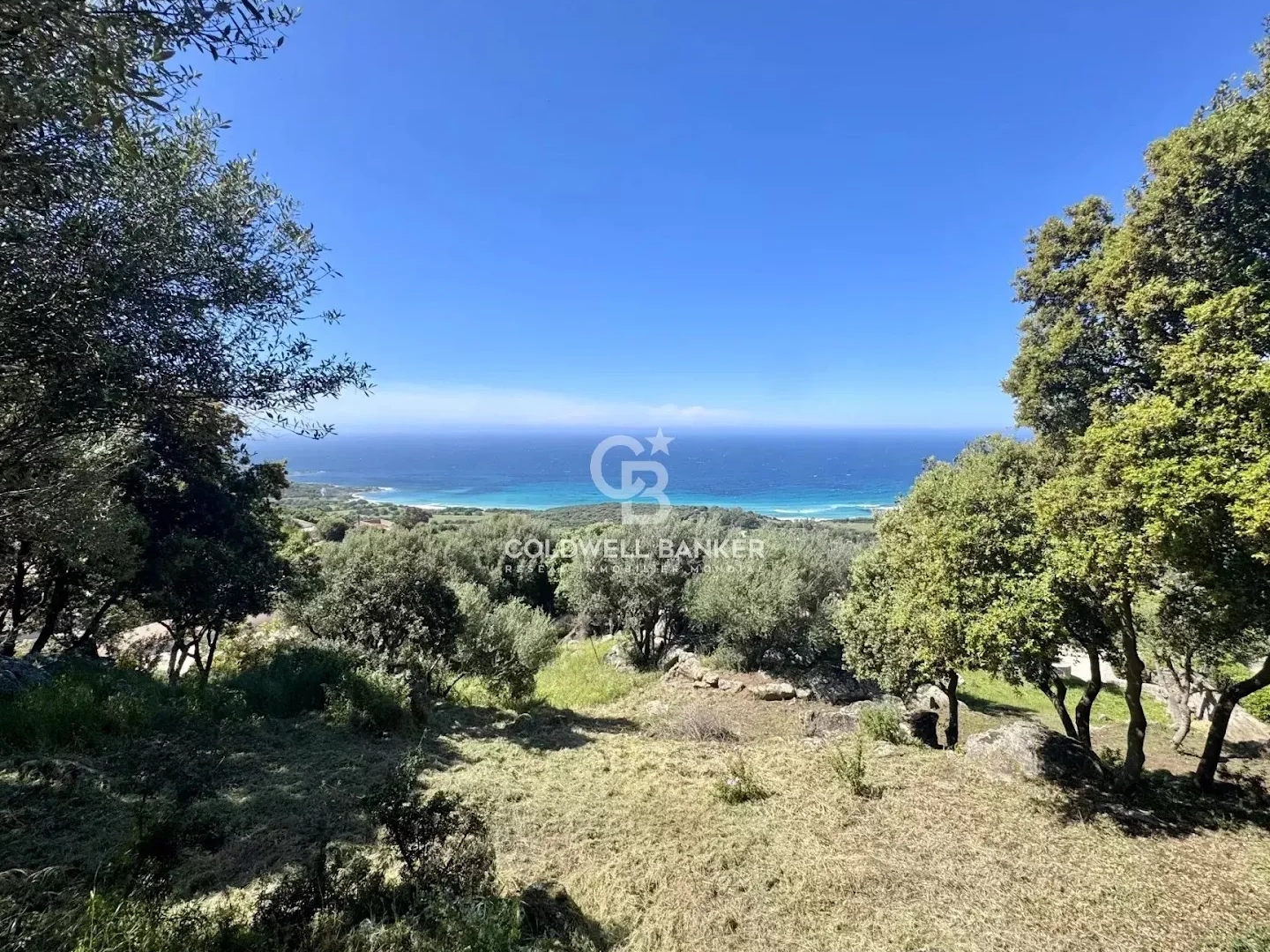 Terrain 2500 m²