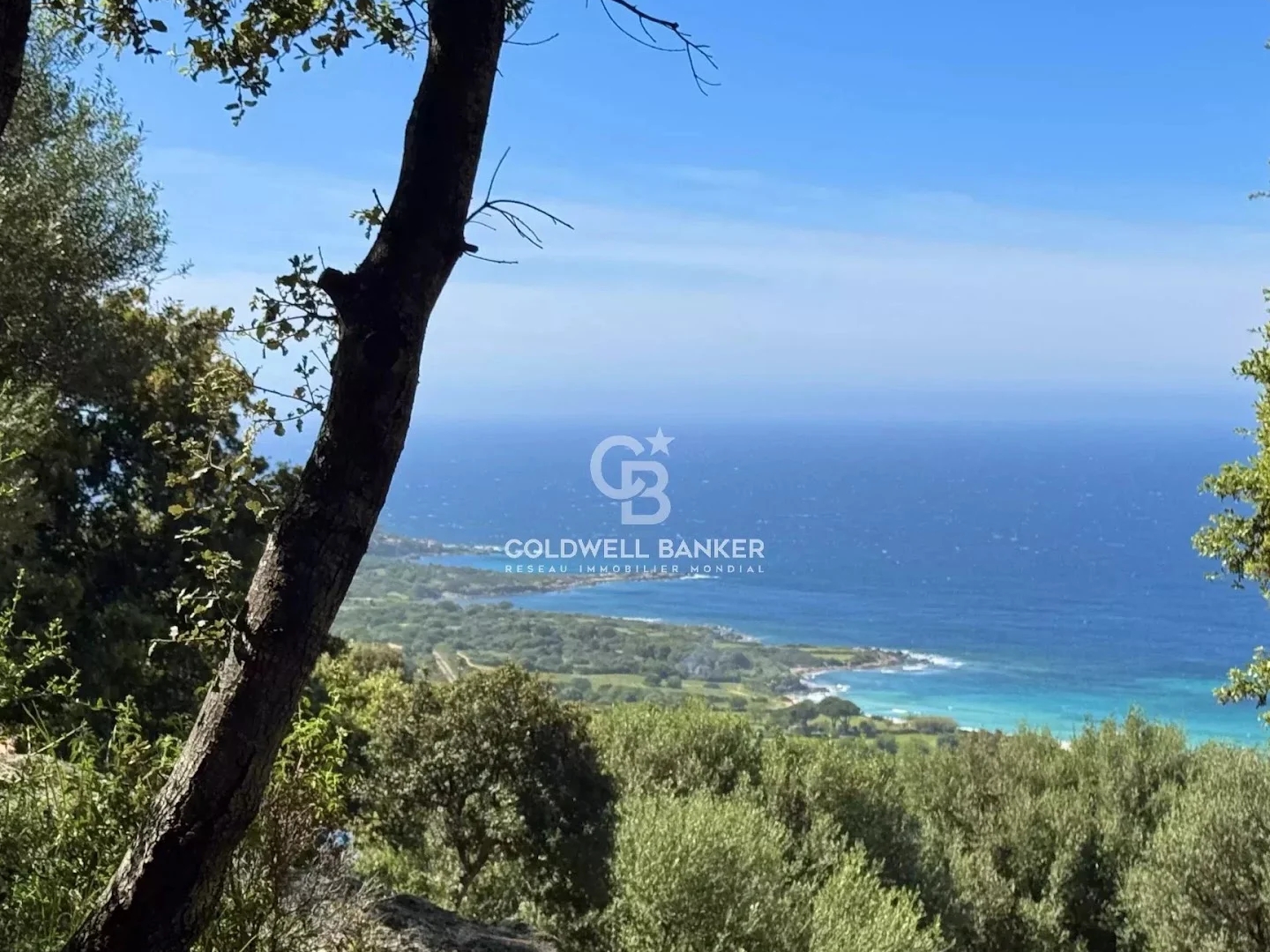 Terrain à vendre - 2500m2 - Corbara (20220)