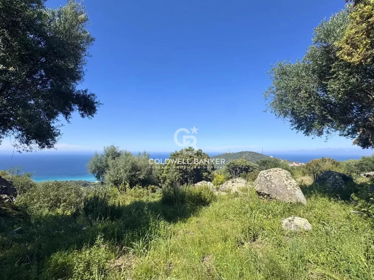 Terrain à vendre - 2500m2 - Corbara (20220)