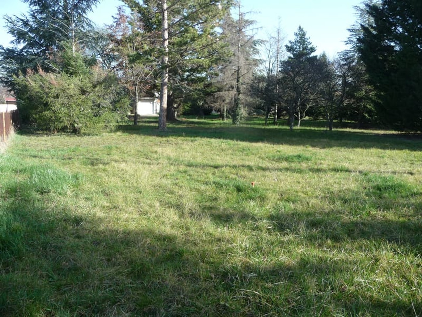 SAVIGNEUX proche centre terrain plat et arboré viabilisé 770 m2