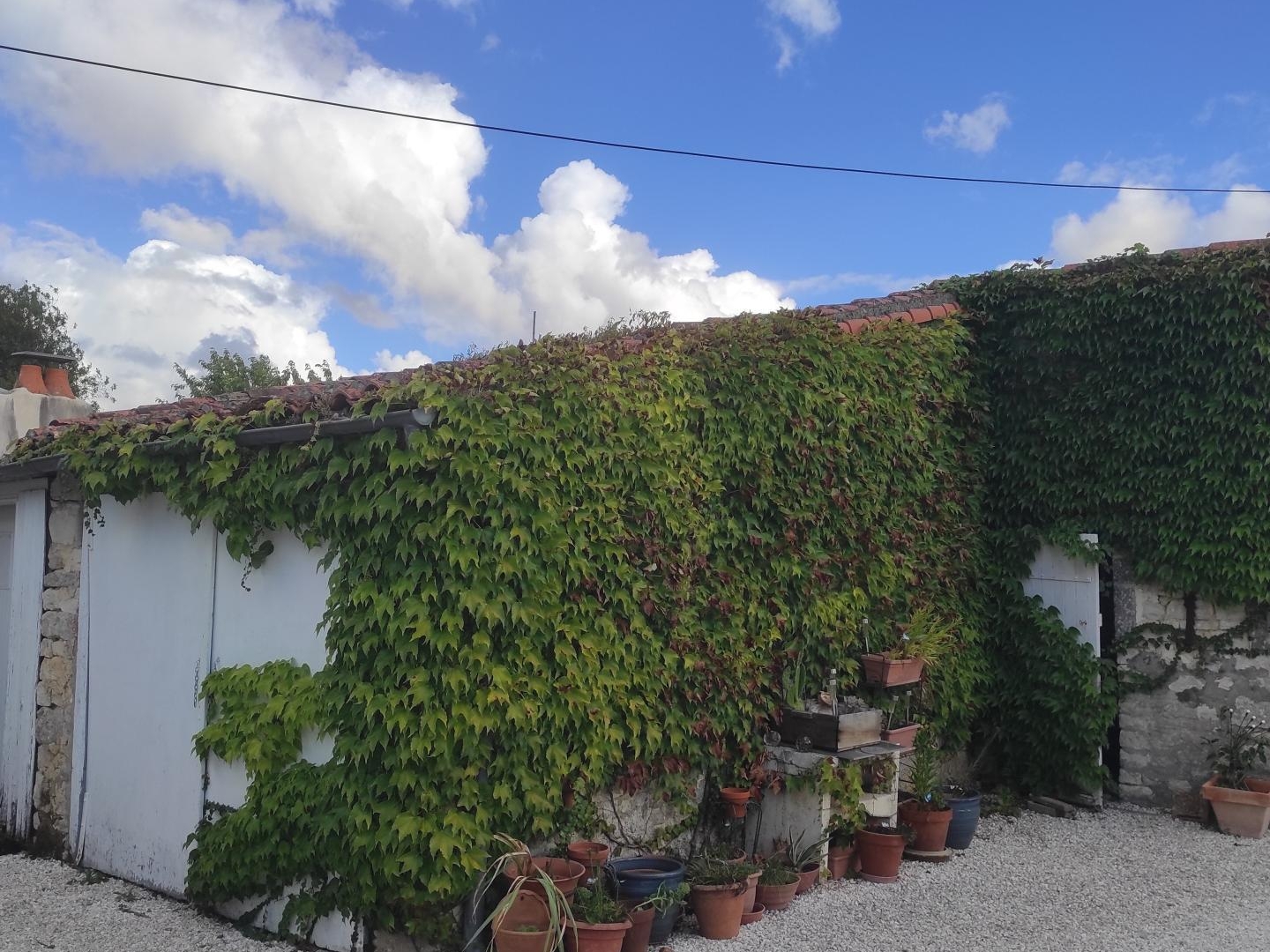 Maison à vendre - 7 pièces - 205m2 - Landes (17380)