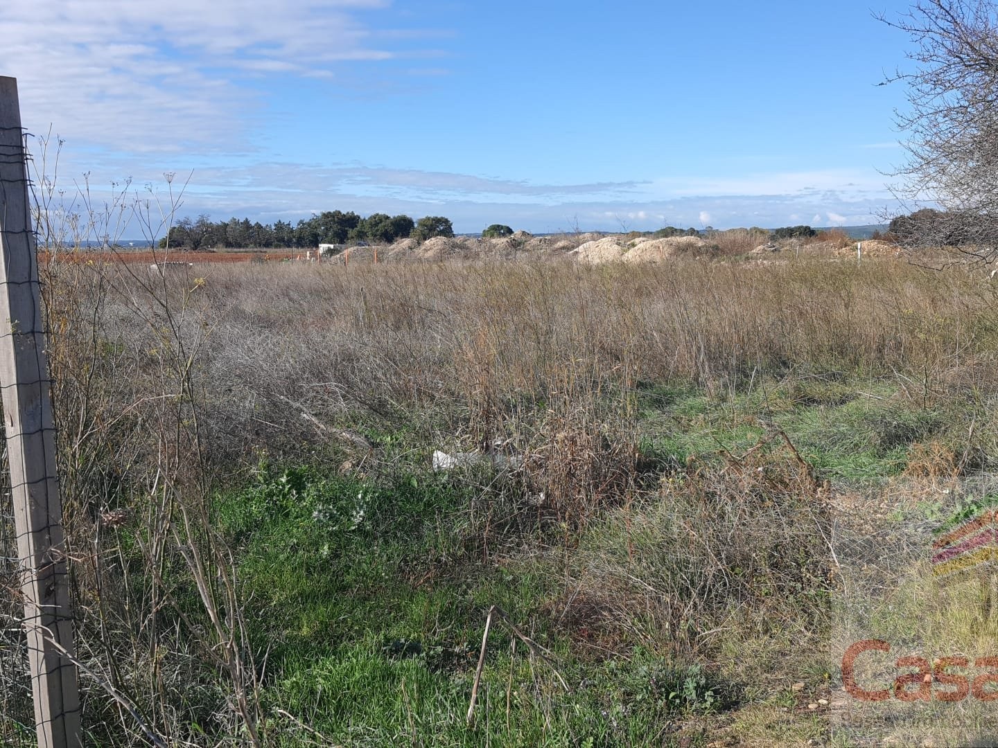 Terrain à vendre - 1996m2 - Manduel (30129)