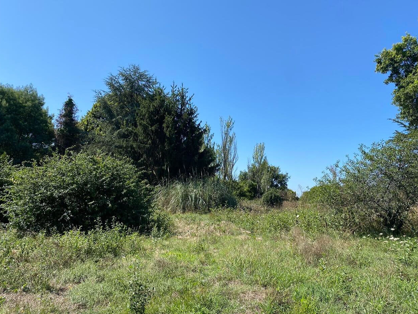 Maison à vendre - 6 pièces - 231m2 - Saint-Trojan (33710)