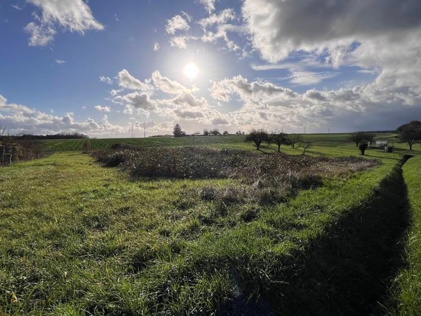 Terrain 1285 m²