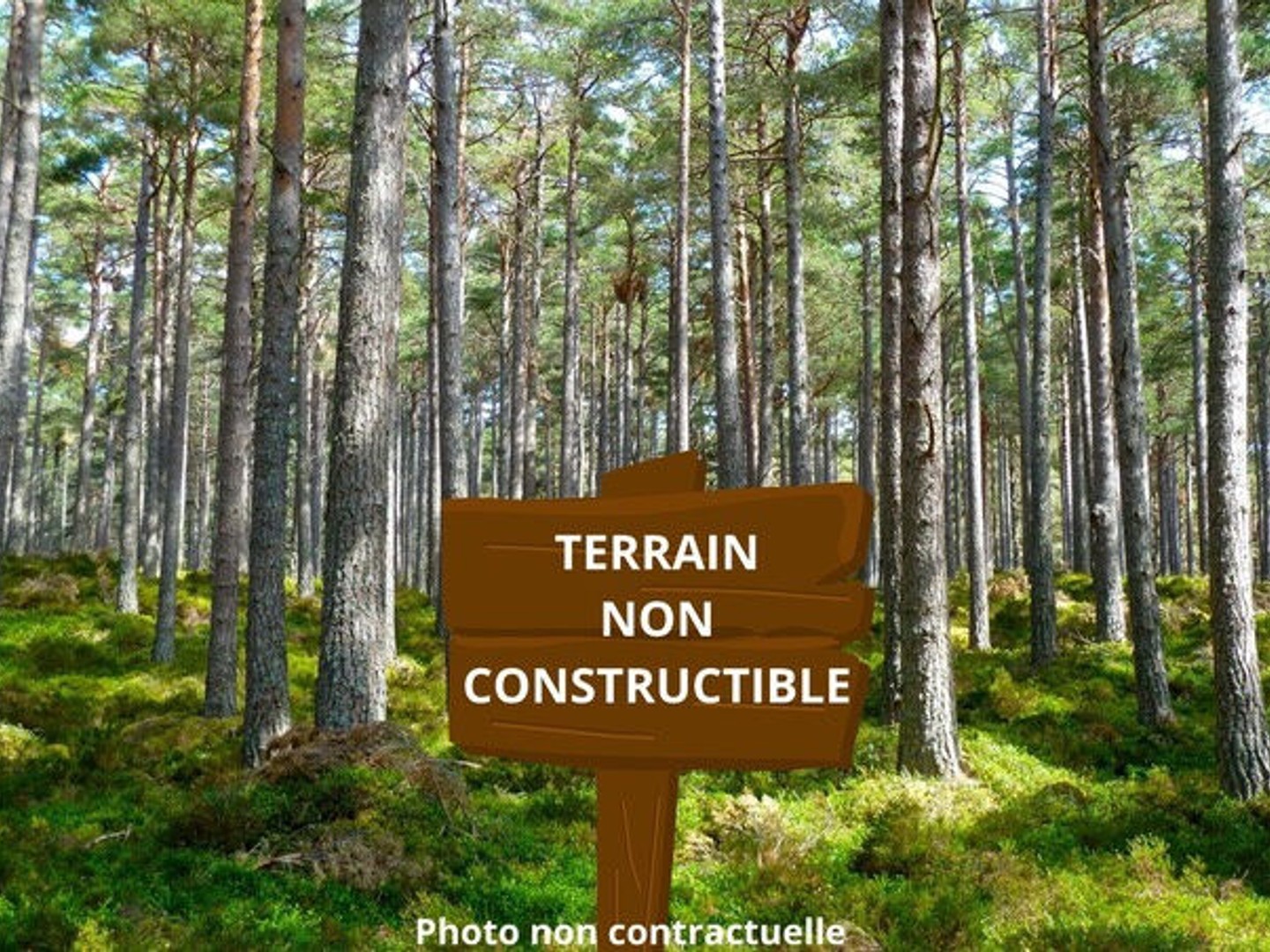 REIGNAC TERRAIN NON CONSTRUCTIBLE