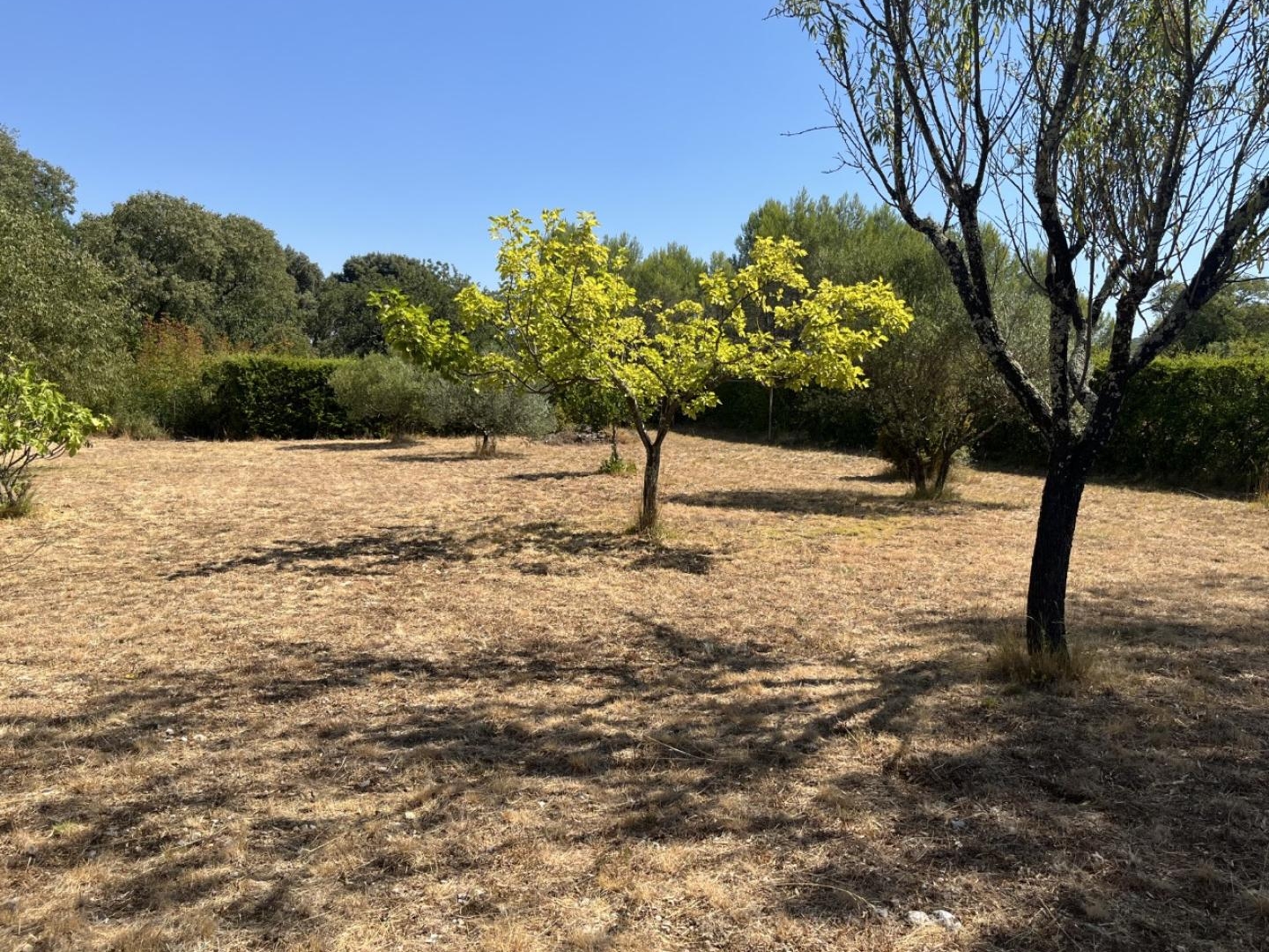 Terrain constructible Ste Croix de Quintillargues 34270