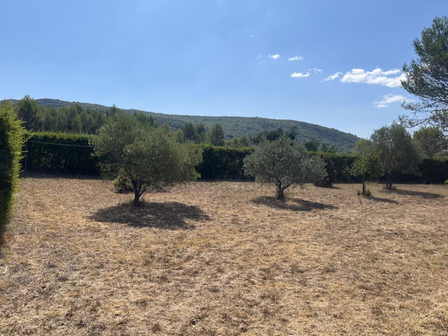 Terrain à vendre - 721m2 - Sainte-Croix-De-Q... (34270)