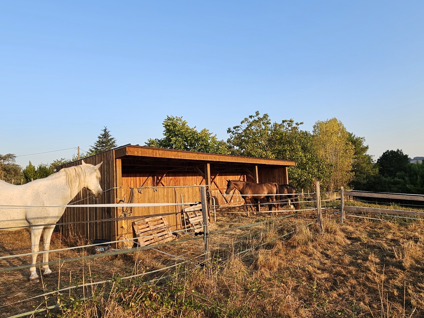 Propriété équestre de 5 hectares, entièrement clos, maison de plain pied 210m² annexe 130m²