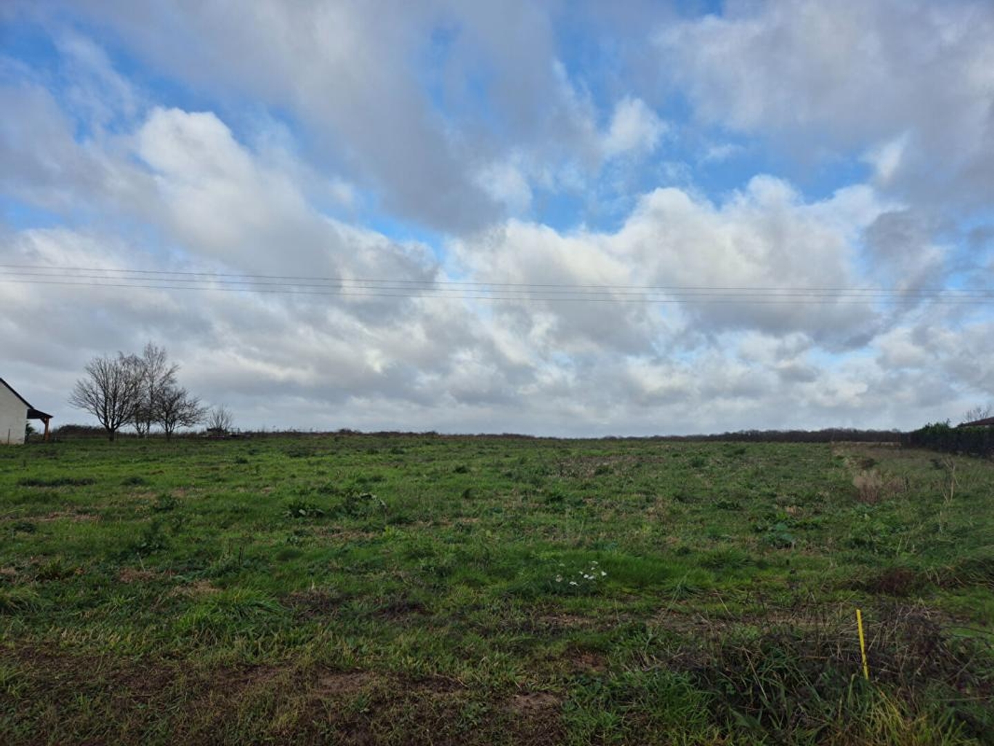 Terrain à vendre - 1500m2 - Saunay (37110)