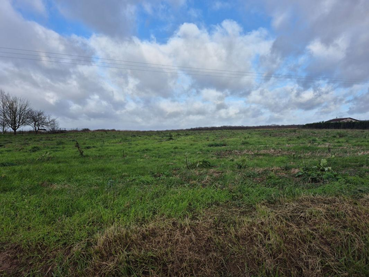 Terrain à vendre - 1500m2 - Saunay (37110)