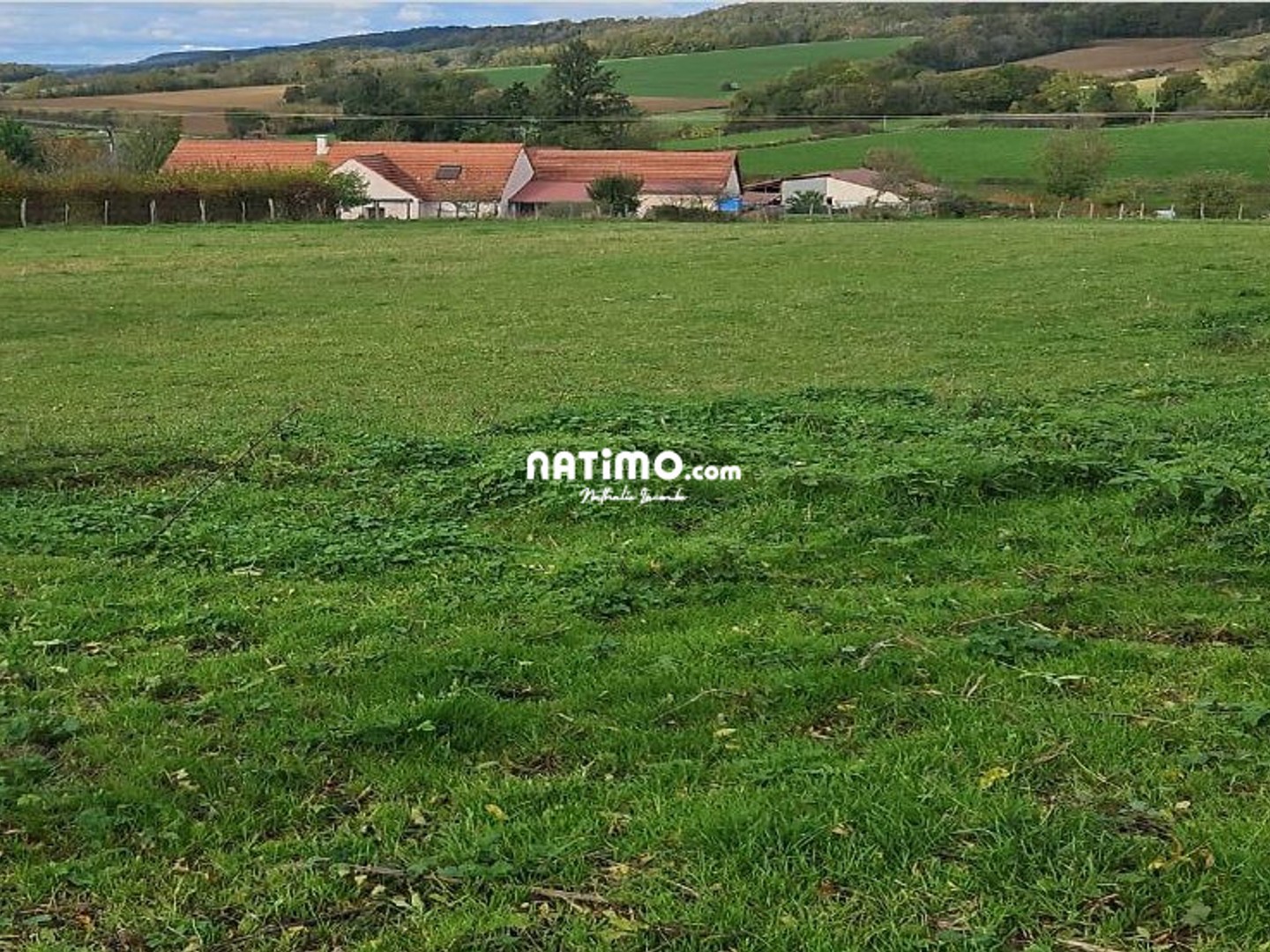 Terrain