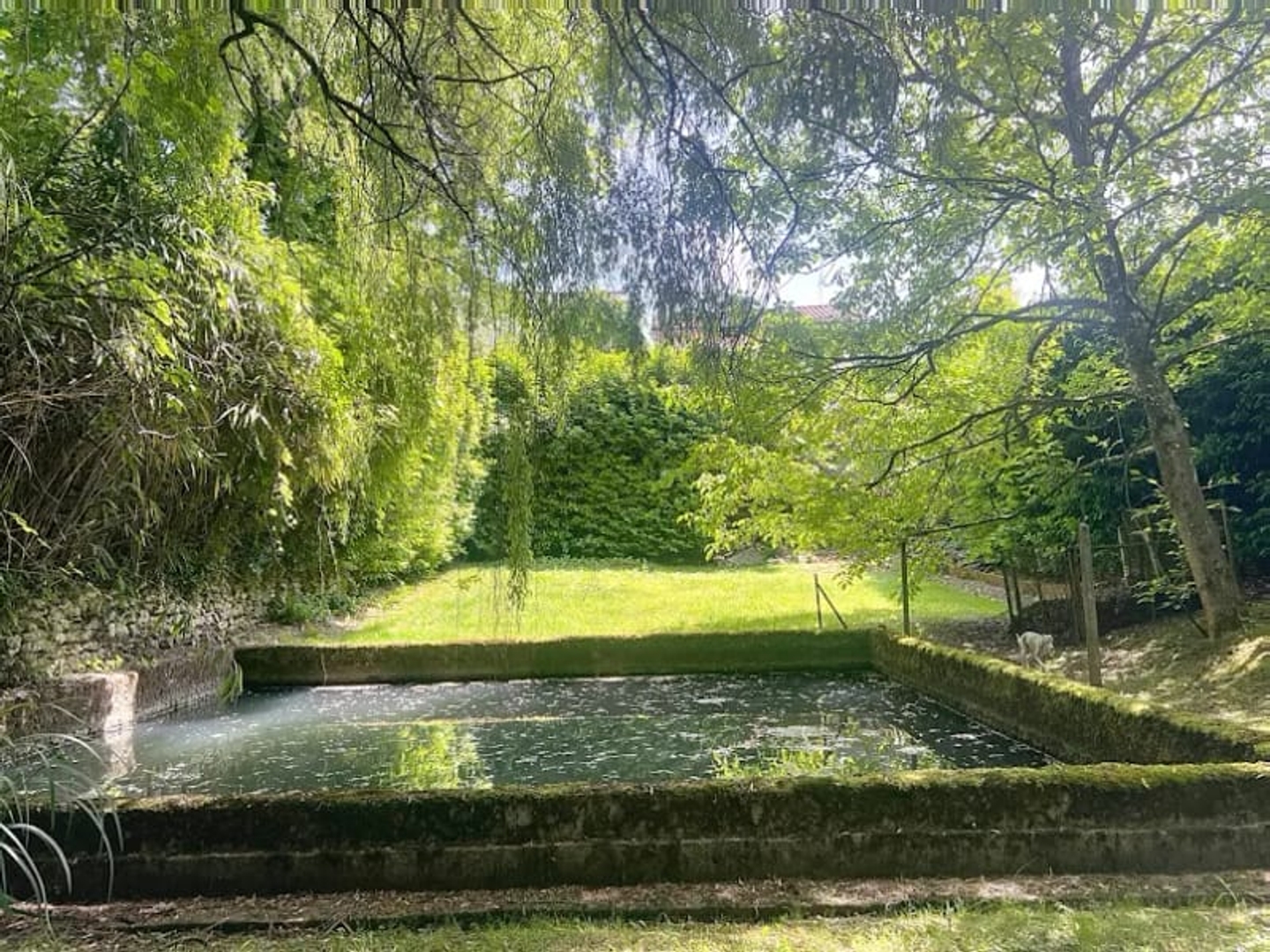 Maison à vendre - 10 pièces - 320m2 - Marsac-Sur-L'isle (24430)