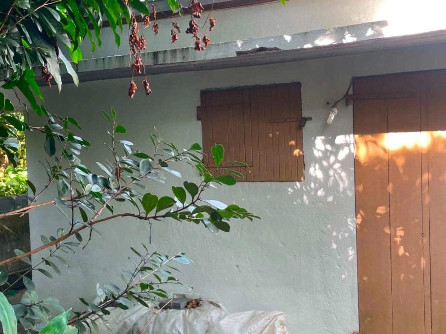 Maison à vendre - 3 pièces - 100m2 - Saint-Paul (97435)