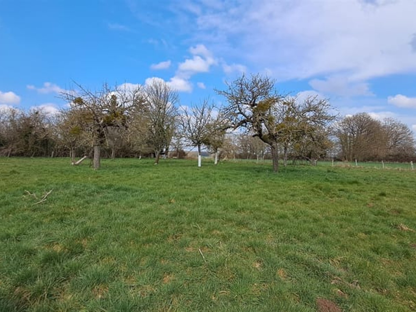 TERRAIN à BATIR de 2 130 m2 arboré CU POSITIF, non viabilisé sauf eau. ENVIRONNEMENT CALME