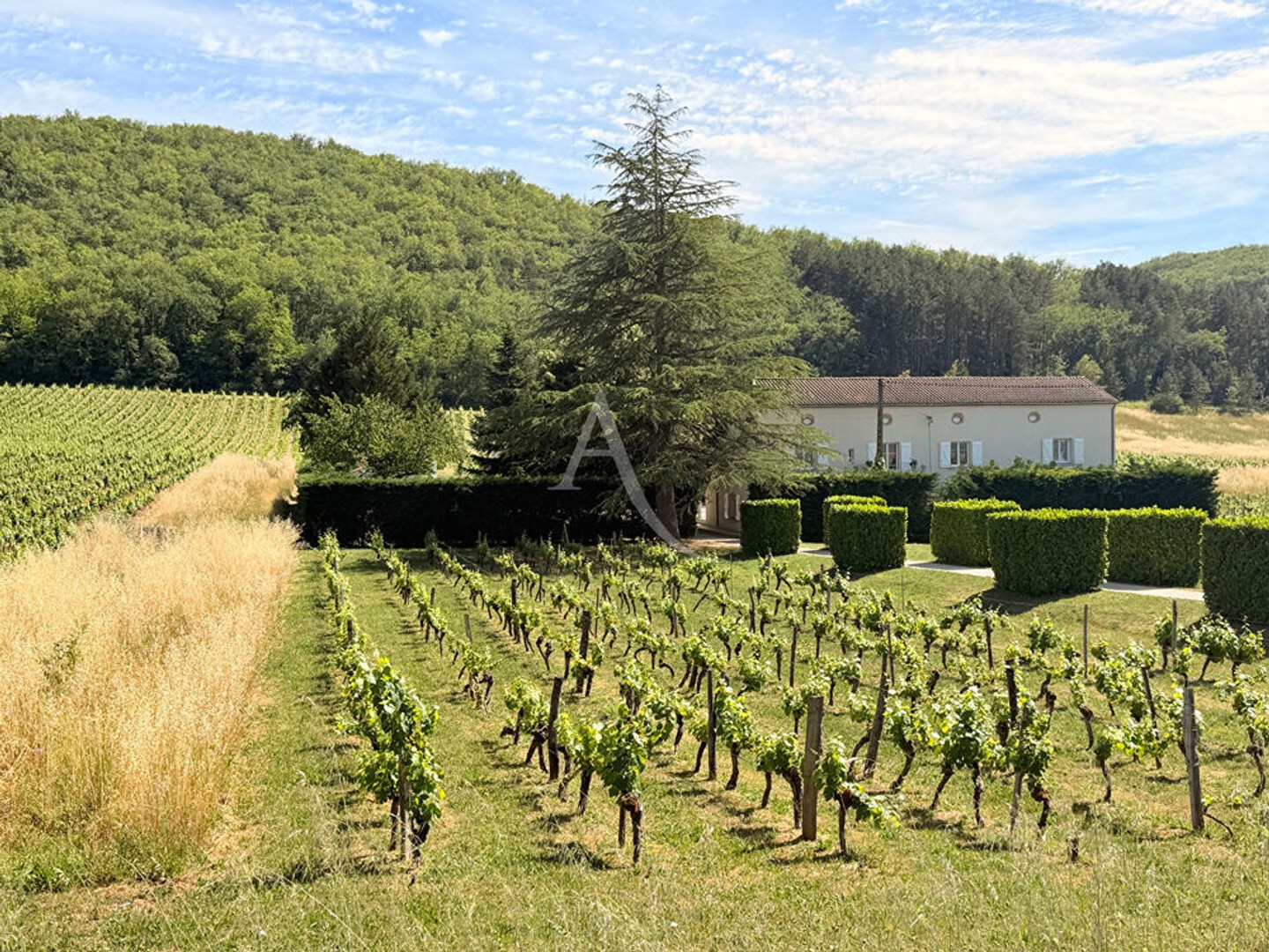 Maison à vendre - 11 pièces - 914m2 - Luzech (46140)
