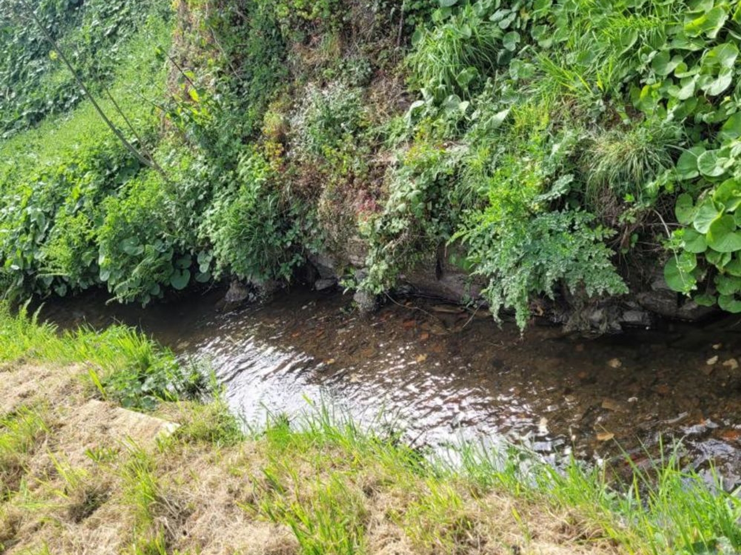 Locaux à vendre - 180m2 - Rohan (56580)