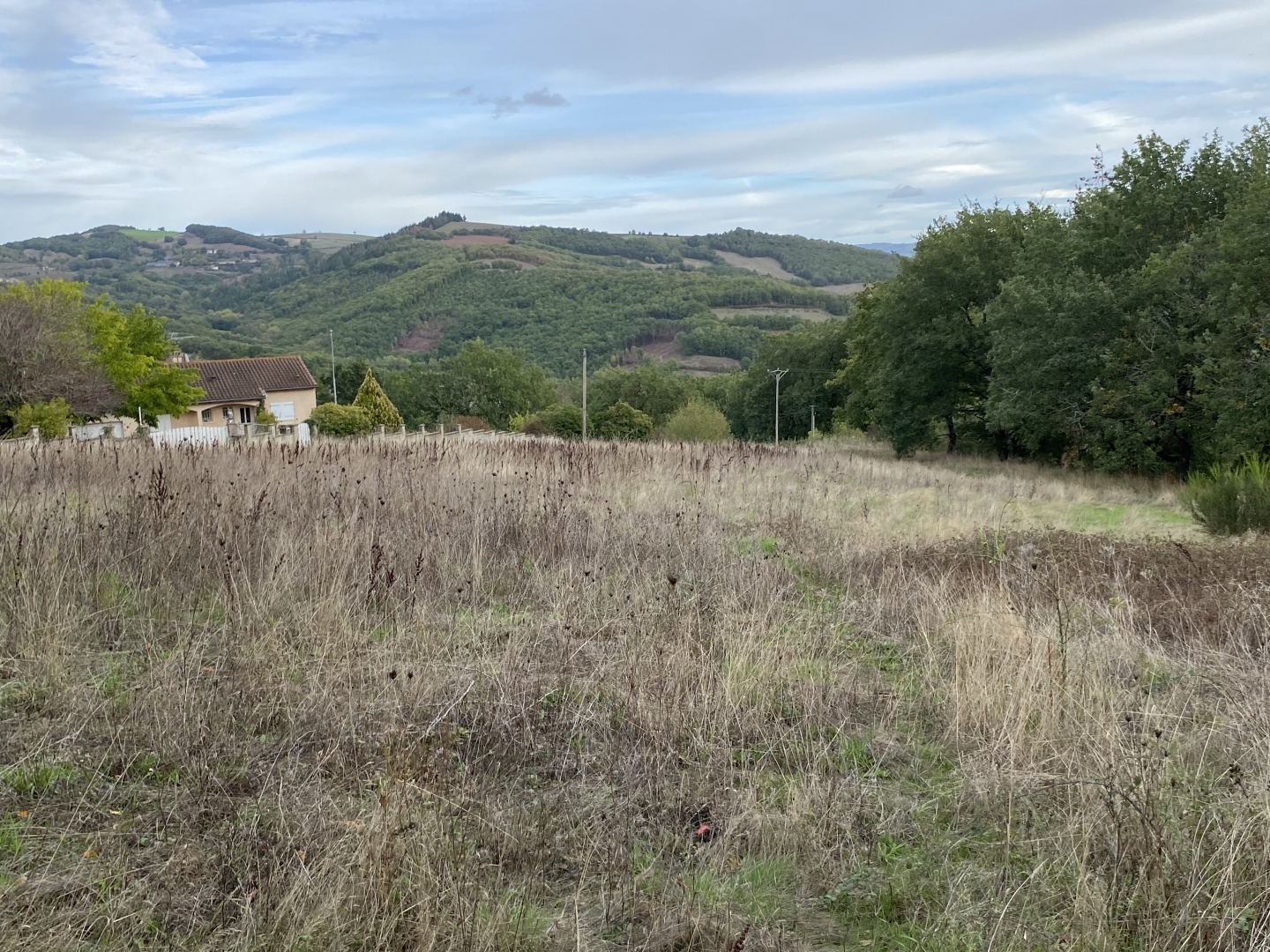 Terrain 4214 m²