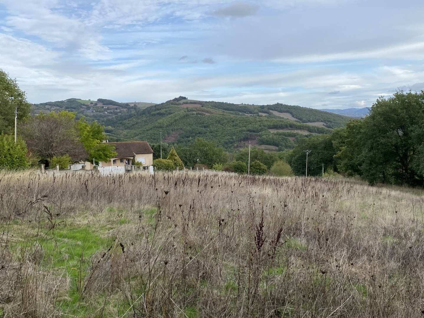 Terrain à vendre - 4214m2 - Pousthomy (12380)