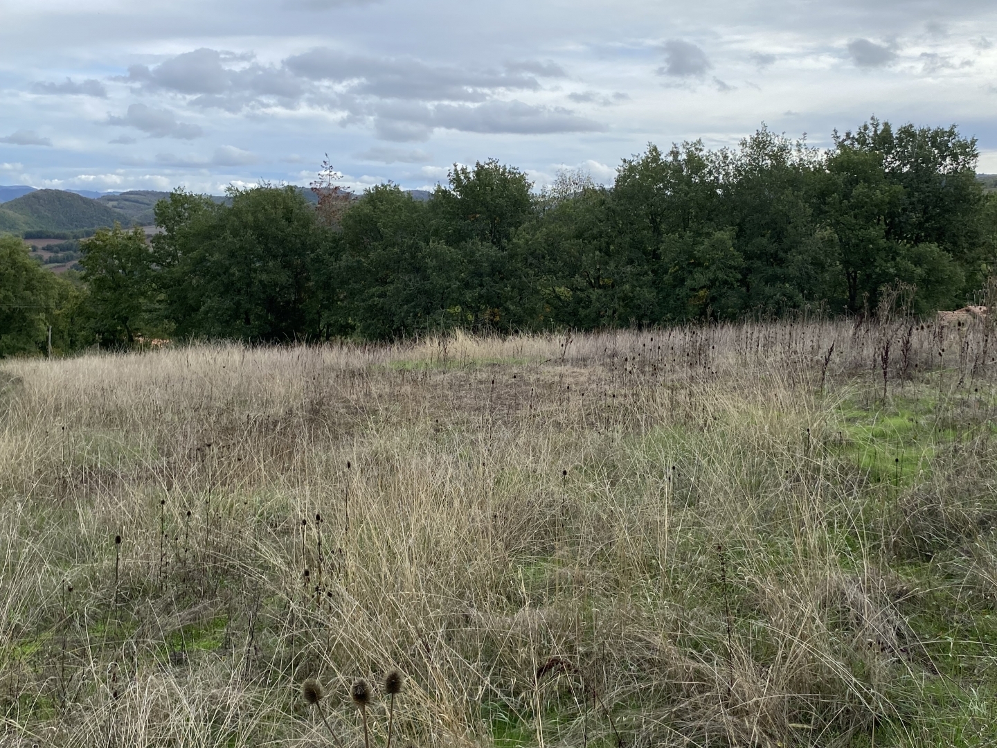 Terrain à vendre - 4214m2 - Pousthomy (12380)