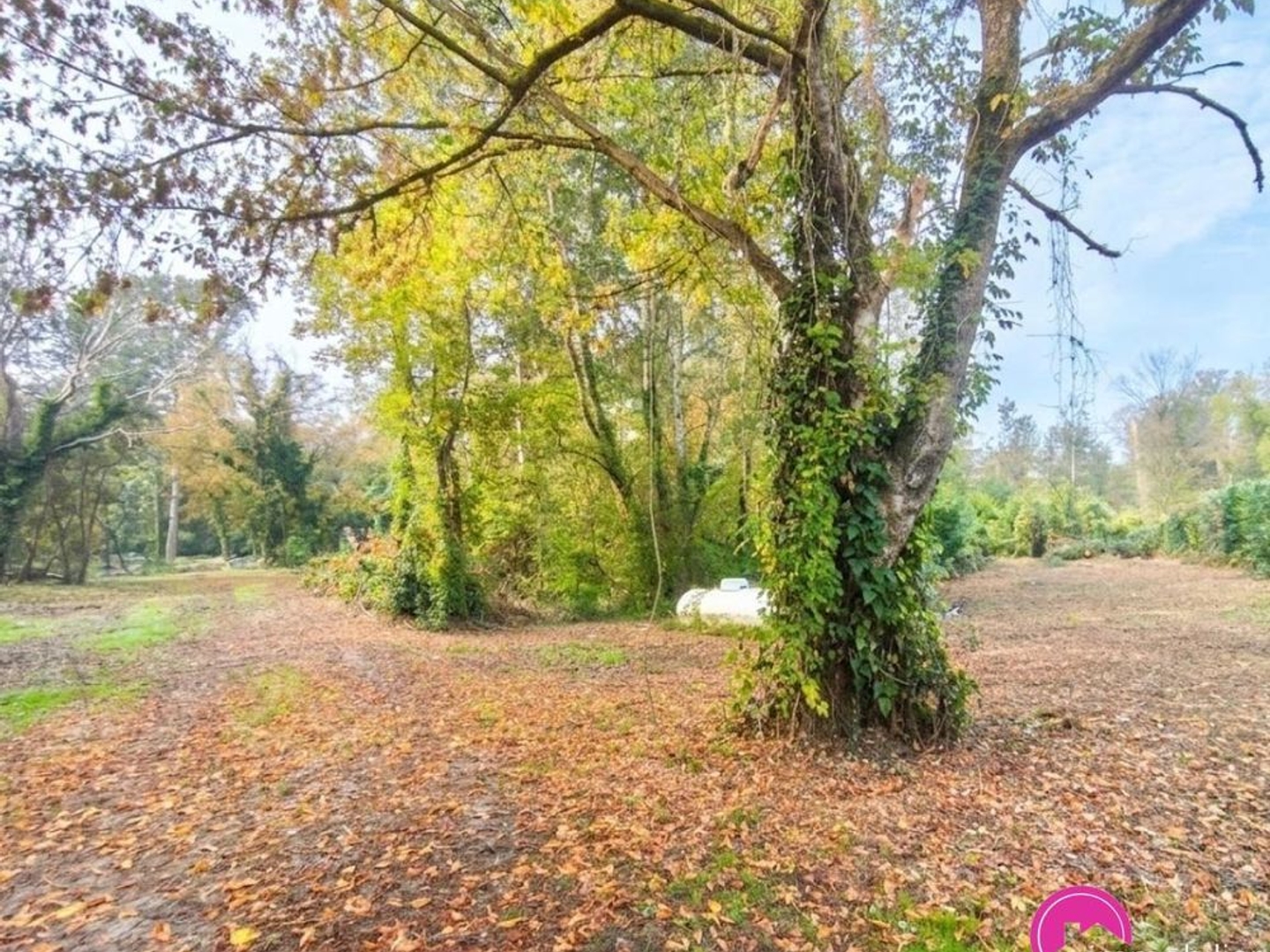 Maison à vendre - 4 pièces - 67m2 - Milly-La-Forêt (91490)