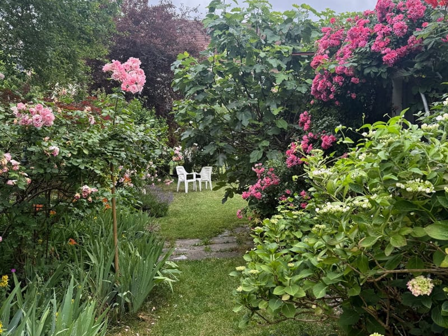Appartement 2 pièces 79 m²