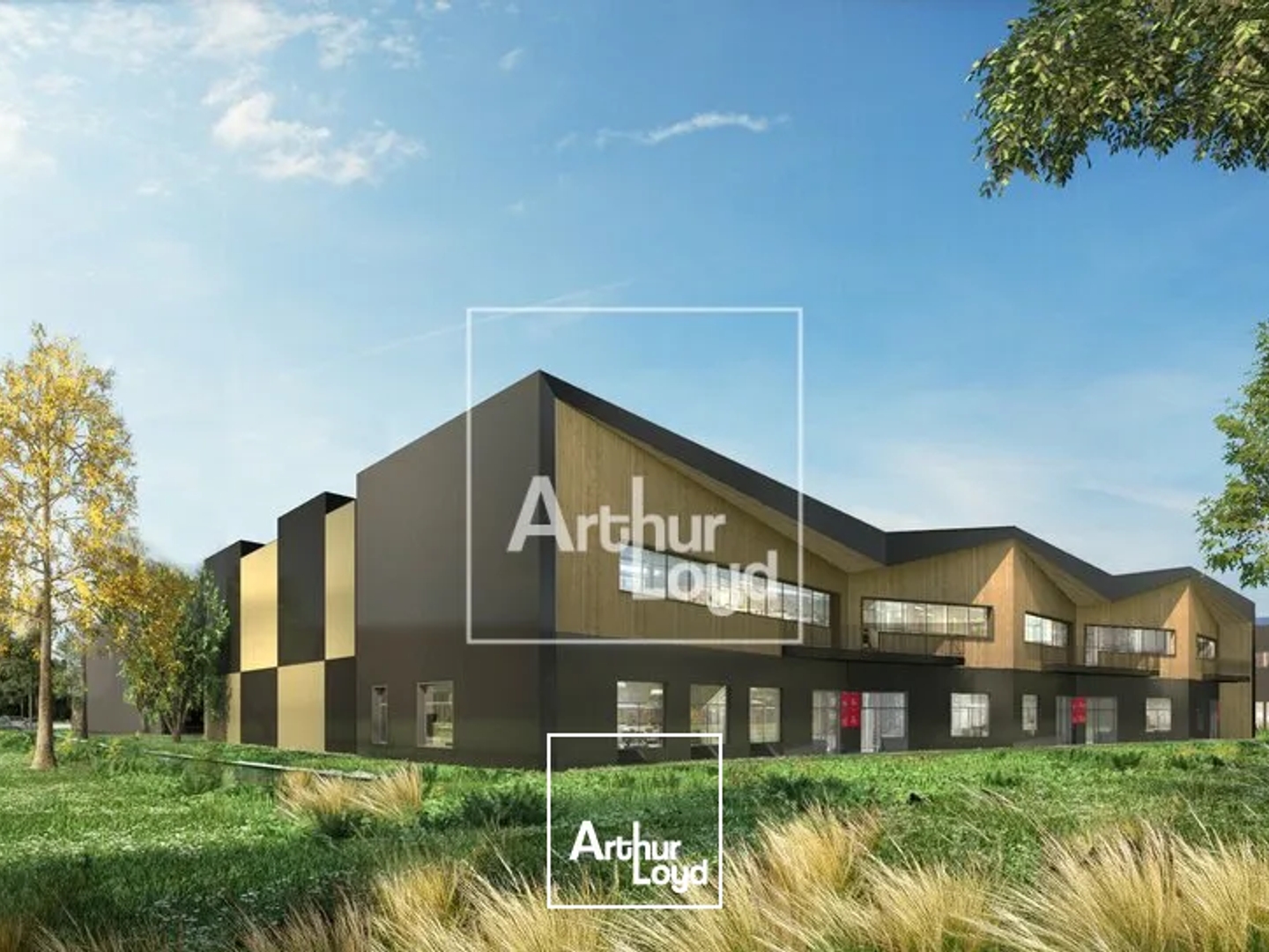 Locaux à vendre - 3990m2 - Moissy-Cramayel (77550)